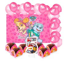 Kit festa Patrulha Canina Rosa Skye Decoração Aniver 5 anos Kit festa Patrulha Canina Rosa Skye Decoração Aniver 5 anos