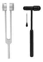 Kit Fisio Martelo Neuro Buck De Reflexo + Diapasão