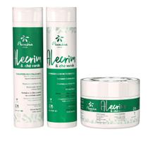 Kit floractive alecrim 300 ml 3unds