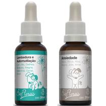 Kit Floral Pet Cachorro Gato: Lambedura e Automutilação + Ansiedade Bio Florais