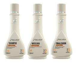 Kit Fortalecedor Para Cabelos Ressecados 250ml Raiz Latina Profissional Hidratação Força Brilho