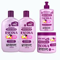 Kit Fortalecimento Escova Gota Sh Cond 430ml Masc 500g Creme 320ml Kit Fortalecimento Escova Gota Sh Cond 430ml Masc 500g Creme 320ml