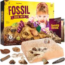 Kit Fossil Dig Dan & Darci com 12 fósseis genuínos para crianças de 8 a 13 anos