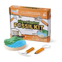 Kit Fossil Dig & Display hand2mind-93418 para crianças de 5 a 7 anos