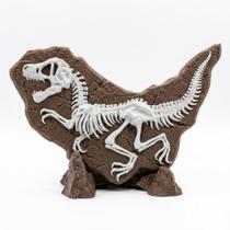 Kit Fossil Esqueleto de Dinossauro Velociraptor Expositor de Rocha Base Presente Decorativo Kit Fossil Esqueleto de Dinossauro Velociraptor Expositor de Rocha Base Presente Decorativo