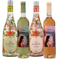 Kit Fusion de Sabores Seleção Exclusiva de Vinhos com Estilos e Aromas Contrastantes Explore, Prove e Surpreenda Kit Fusion de Sabores Seleção Exclusiva de Vinhos com Estilos e Aromas Contrastantes Explore, Prove e Surpreenda