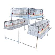 kit gaiola suspensa para galinhas poedeiras 48 aves - GB GAIOLAS BRASIL