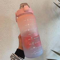 Kit Garrafa De Água 2L e 700Ml com marcador ADESIVOS 3D e Canudo