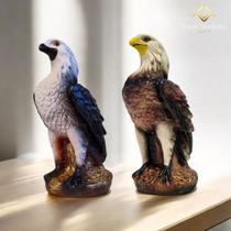 Kit Gavião Espanta Pombos Pardal Maritaca Morcego Pintura Exclusiva 2 Uunidades VARIAS VARIEDADES