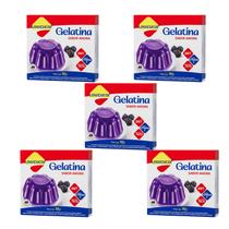 Kit Gelatina Amora Zero Açúcar - Lowçucar 5 Unidades 10g