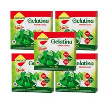Kit Gelatina Limão Diet com Stevia - Lowçucar Plus 5 Unidades 10g