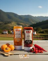 Kit Geleia de Pimenta Defumada e Damasco - 2 Bisnagas de 260g Kit Geleia de Pimenta Defumada e Damasco - 2 Bisnagas de 260g