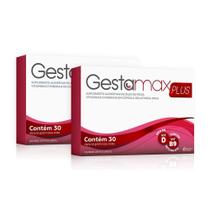 Kit Gestamax Plus Ct Bl 30 Cap
