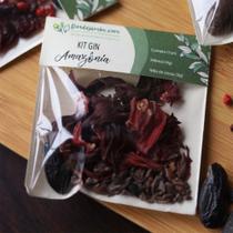 Kit Gin Amazônia (Cumaru+ Hibisco + Nibs de cacau)