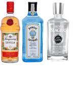 Kit Gin Bombay + Tanqueray Sevilla + Silver Seagers - Tanqueray, Seagers e Bombay