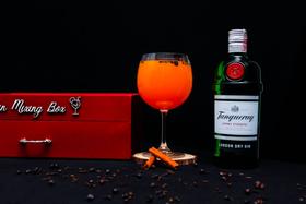 Kit Gin Luxo com 8 Especiarias + Dosador Duplo Inox + Colher Bailarina + BRINDE