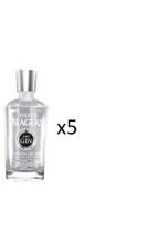 Kit Gin Silver Seagers London Dry 750ml 5 Unidades