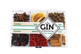 Kit Gin Tonica 06 especiarias Laranja - Armazém Santa Terezinha