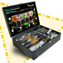 Kit gin tonica 22 especiarias para gin +13 pockets drinks + colher bailarina + dosador + pegador