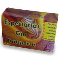 Kit Gin Tonica Especiarias Para Gin Juniper Royalbar - TANQUERAY