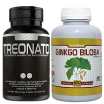 Kit Ginkgo Biloba 500 mg 120 caps extrato seco e Magnésio Treonato 60 Comprimidos