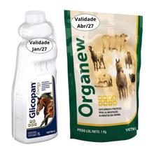 Kit Glicopan Energy 1 Litro e Organew 1Kg Vetnil Suplemento para Cavalos