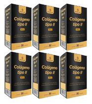 Kit Gold Lab Colágeno Tipo II 40mg C/ 6Un 30 Cápsulas Cada