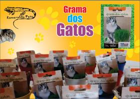 Kit Grama dos Gatos