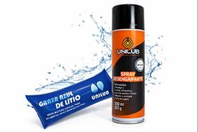 Kit Graxa de Lítio com Desengripante WD em Spray