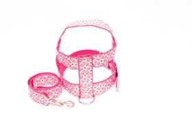 Kit Guia com peitoral 40mm rosa tamanho 10 (77 cm a 93 cm) Kit Guia com peitoral 40mm rosa tamanho 10 (77 cm a 93 cm)