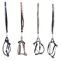 Kit Guia e Peitoral P/ Cachorro Gato Ajustável Lovely Vibe