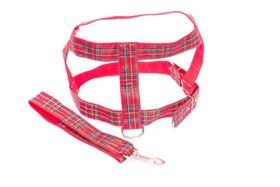 Kit Guia peitoral 40mm xadrez vermelho tam 10 (77cm-93cm) Kit Guia peitoral 40mm xadrez vermelho tam 10 (77cm-93cm)