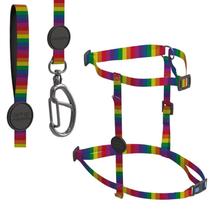 Kit h meumiau rainbow + guia