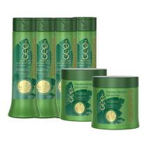 Kit Haskell Bananeira 04 Shampoos 300ml E 02 Mascaras 500g