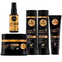 Kit Haskell Cavalo Forte 5 Produtos Shampoo, Condicionador, Máscara, LeaveIn e Selante Kit Haskell Cavalo Forte 5 Produtos Shampoo, Condicionador, Máscara, LeaveIn e Selante
