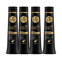 Kit Haskell Cavalo Forte 500ml 3 Shampoo 1 Condicionador Kit Haskell Cavalo Forte 500ml 3 Shampoo 1 Condicionador