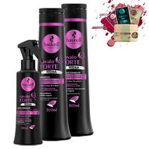 Kit Haskell Cavalo Forte Hidra Sh, Cond 500ml e Fluido 120ml