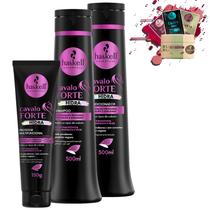 Kit Haskell Cavalo Forte Hidra Sh, Cond 500ml e Protetor 150