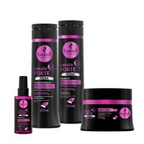 Kit Haskell Cavalo Forte Hidra Sh Cond. Másc 300ml + Sérum