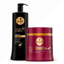 Kit Haskell Cavalo Forte Sh 1 Litro E Máscara Liso com Força 500g