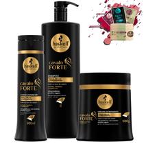 Kit Haskell Cavalo Forte Sh 1L Cond 300ml Mascara 500g
