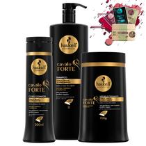 Kit Haskell Cavalo Forte Sh 1L Cond 300ml Mascara 900g