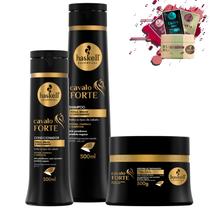 Kit Haskell Cavalo Forte Sh 500ml Cond 300ml Mascara 300g