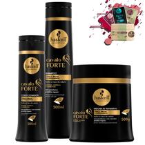 Kit Haskell Cavalo Forte Sh 500ml Cond 300ml Mascara 500g