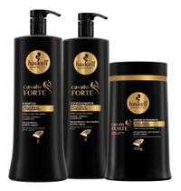 Kit haskell cavalo forte sh cond 1 lt / masc 900g tratamento salão