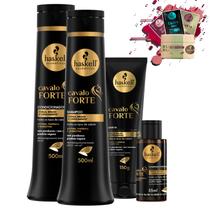 Kit Haskell Cavalo Forte Sh Cond 500ml Leave Complexo Kit Haskell Cavalo Forte Sh Cond 500ml Leave Complexo