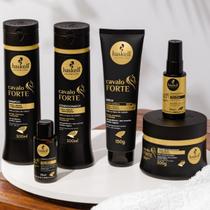 Kit Haskell Cavalo Forte Sh Cond Másc 300g Leave Complexo Selante Kit Haskell Cavalo Forte Sh Cond Másc 300g Leave Complexo Selante