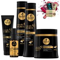Kit Haskell Cavalo Forte Sh Cond Mascara 500g Leave Selante