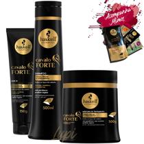 Kit Haskell Cavalo Forte Shampoo 500ml Mascara 500g Leave-in