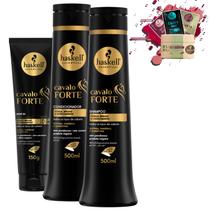 Kit Haskell Cavalo Forte Shampoo Cond 500ml Leave-in Nf
